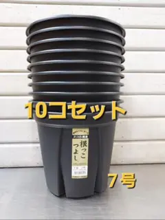 ☆セットがお買い得！ 生育環境を整えるスリット構造！根っこつよし