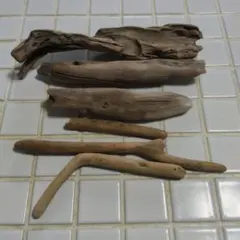 流木6本セット 複数のサイズ 自然な形状