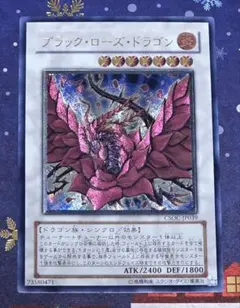 2026年最新】ブラック・ローズ・ドラゴン ホロの人気アイテム - メルカリ