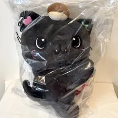 NCTWISH リク クリ ぬいぐるみ バッグ トレカ付き〇 - メルカリ