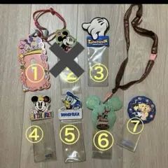 東京ディズニーランド チケットホルダー パスポート カードホルダー