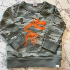 Item thumbnail for item 69c54820-8215-4240-9562-d5d85a9bd0b8