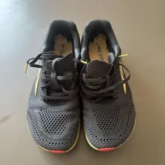 Item thumbnail for item 526e67ec-d90f-47c6-a44d-4ffa72c5358d