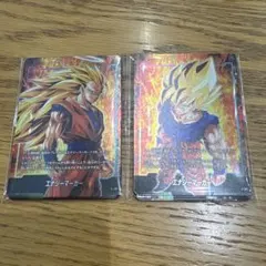 エナジーマーカー　20枚セット　進化の境地&気の躍動