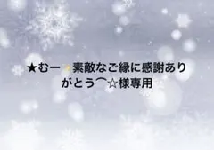 ★ むー✨素敵なご縁に感謝ありがとう⌒︎☆︎様専用