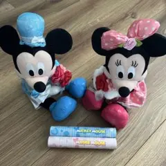 ミッキー ミニー ぬいぐるみ ウェディングセット