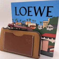 ✨美品✨ロエベ　フラグメントケース　アナグラム　コインカードホルダー