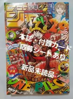 週刊少年ジャンプ 2024年33号 ワンピース付録カード付 - メルカリ
