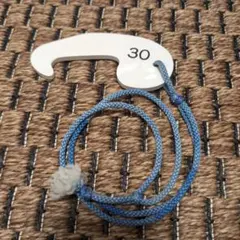 Item thumbnail for item 635a94c1-8691-42d2-b451-b39bd952b379