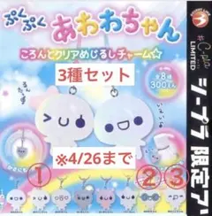ぷくぷくあわわちゃん ころんとクリアめじるしチャーム3種　シープラ限定あり