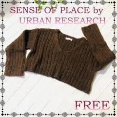 美品 SENSE OF PLACE◆アーバンリサーチ Vネックニット◆FREE