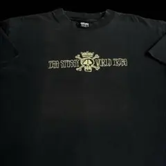 “WORLD TRIBE” old stussy 80s 黒タグ Tシャツ 濃紺