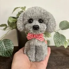 動物ぽんぽん　トイプードル　グレーのサムネイル
