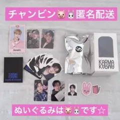 チャンビン まとめ売り KARMA SKZOOver. ぬいぐるみ 展覧会トレカ
