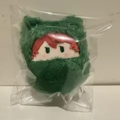 カラフルピーチ　くるみたぴぬい　じゃぱぱ　からピチ