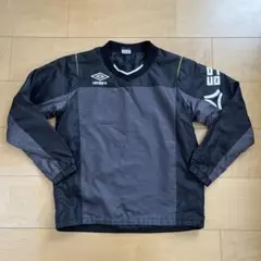 アンブロピステ