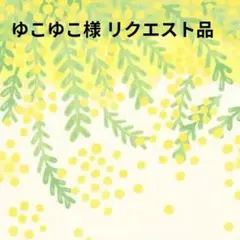 ゆこゆこ(購入後プロフィール必読)様 リクエスト 2点 まとめ商品