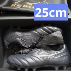 2026年最新】モレリアdna 25の人気アイテム - メルカリ