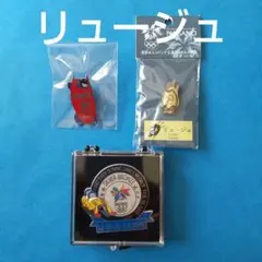 SAJ スキープライズテスト クラウンプライズ 合格バッジ - メルカリ
