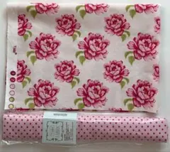 Item thumbnail for item 4831e5a5-376d-4cfc-8bf8-426d4499a842