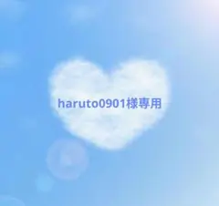 haruto0901様専用✨シマエナガお守り風♥桜シェイカー❀アメジスト入