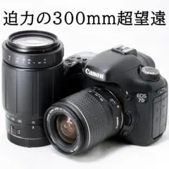 2026年最新】EOS-M DS126391の人気アイテム - メルカリ