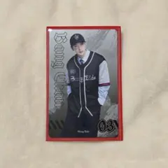 Stray Kids バンチャン dminATE エコパ ランダムフォトカ