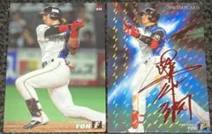 プロ野球チップス 陽岱鋼 赤サイン プロ野球カード