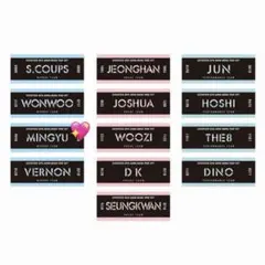 SEVENTEEN セブチ ミンギュ タオル 2018 SVT アリーナツアー