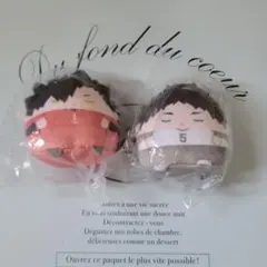 ハイキューぬいくじ ふわころりんてのりん ず梟谷赤葦黒尾E賞 ぬいぐるみ