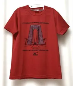 Item thumbnail for item 08ee790b-3846-4c7a-a3fe-5bbe40e260c2