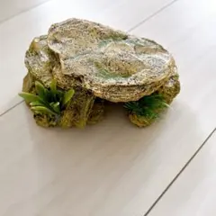 파충류 양서류 은신처