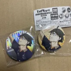 トレーディング缶バッジ オーロラver. 劇場版アクションビジュアル 山口忠