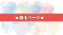 ★もるちゃん様専用★