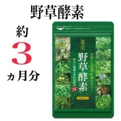 【野草酵素】約３ヶ月分☆約80種類の野草、野菜、キノコ、果実をギュッと凝縮！