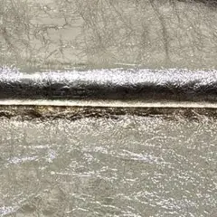 Item thumbnail for item 510a30d4-6d1d-4016-8280-7e4012ec0be0