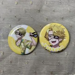 カラフルピーチ たっつん サマーランド 2025年ビジュ 缶バッジ