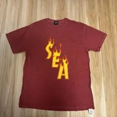 WIND AND SEA ×THRASHER T-shirt THRASHER