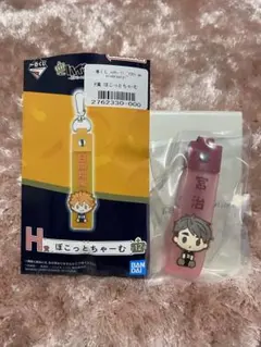 一番くじハイキュー　H賞ぽこっとちゃーむ　宮　治