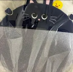 RIIZE 東京ドーム うちわホルダー＆ストラップ　うちわカバー　 ウォンビン