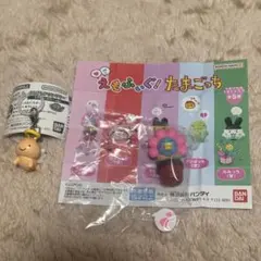 BANDAI NAMCO たまごっち カプセルトイ　2種