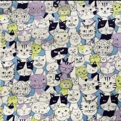 猫　ネコ　ニャンコミックス　blue 50cm