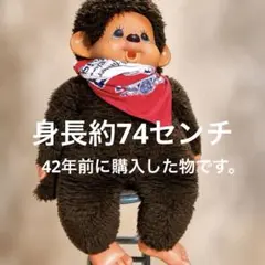 2026年最新】セキグチ モンチッチ 1974の人気アイテム - メルカリ