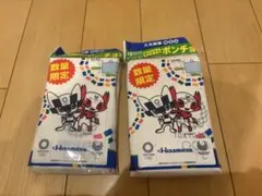 Item thumbnail for item c18cf6f8-472e-4666-a740-5f66fd993a4d