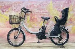 完動品】カイホウジャパン 電動アシスト三輪自転車 BEPN18-IG - メルカリ