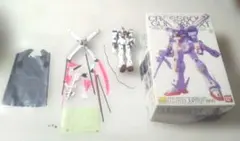 クロスボーンガンダム mg