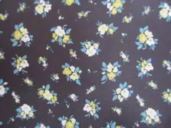 Item thumbnail for item 6eb4ec98-d60e-4373-ab24-057571ca5c80