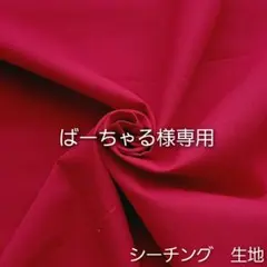 ばーちゃる様 リクエスト 2点 まとめ商品