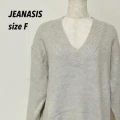 JEANASIS Vネックプルオーバー サイドジップ ジーナシス ＶＰＯ