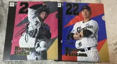 阪神　クリアファイルコレクション　スマートガチャポン限定